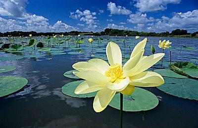 桌游《卡坦岛：主机版》公布 登陆PS和Xbox主机