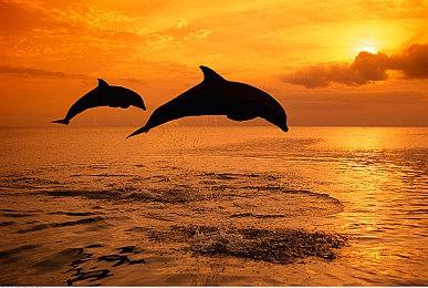 《原子陨落》发布5分钟新预告 展示游戏实机画面